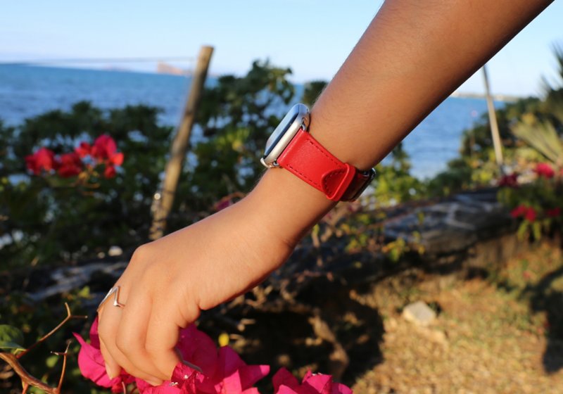 Apple Watch Series 4 Elegance Watch Band - (40 mm)