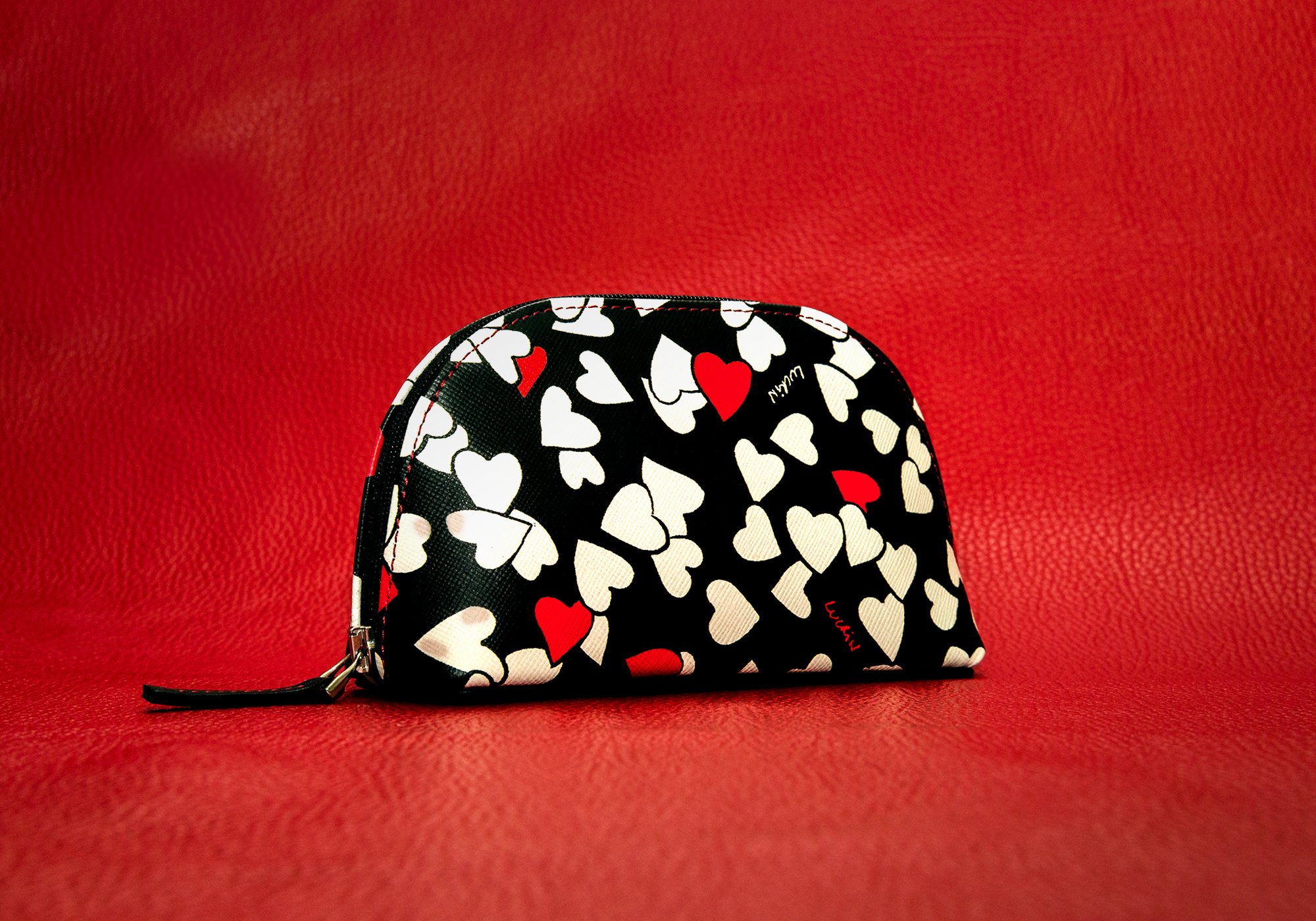 Makeup bag (16 x 8.5 x 5.5 cm)