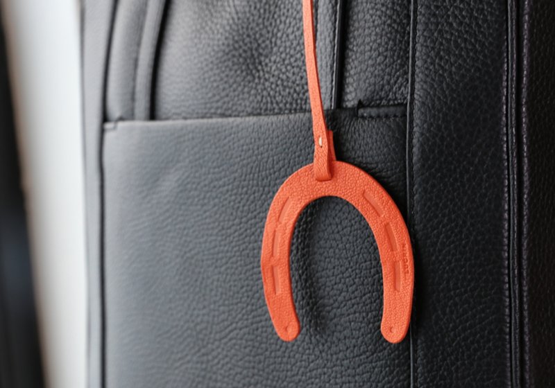 Horseshoe Lucky Charm