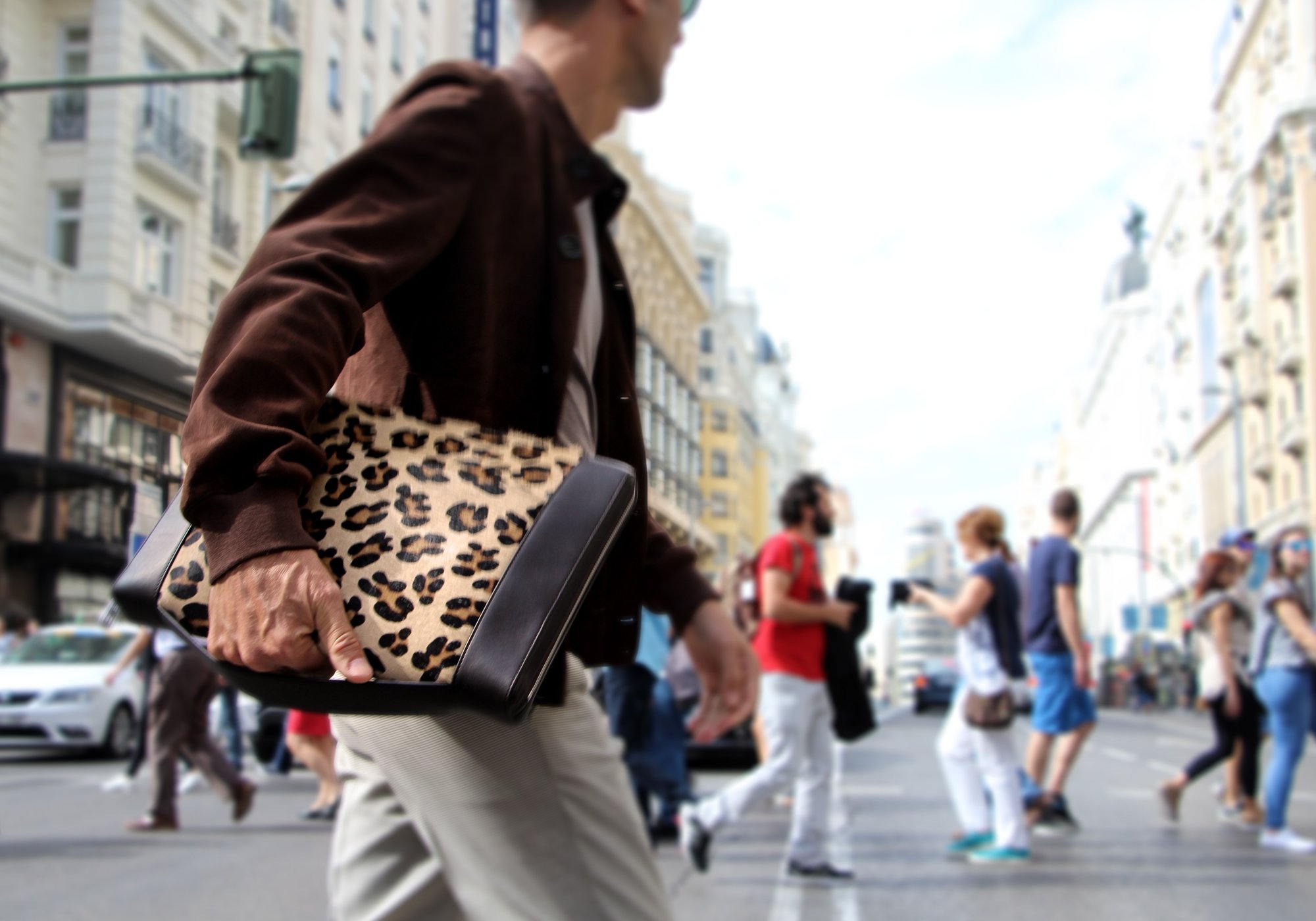 Leopard Document case