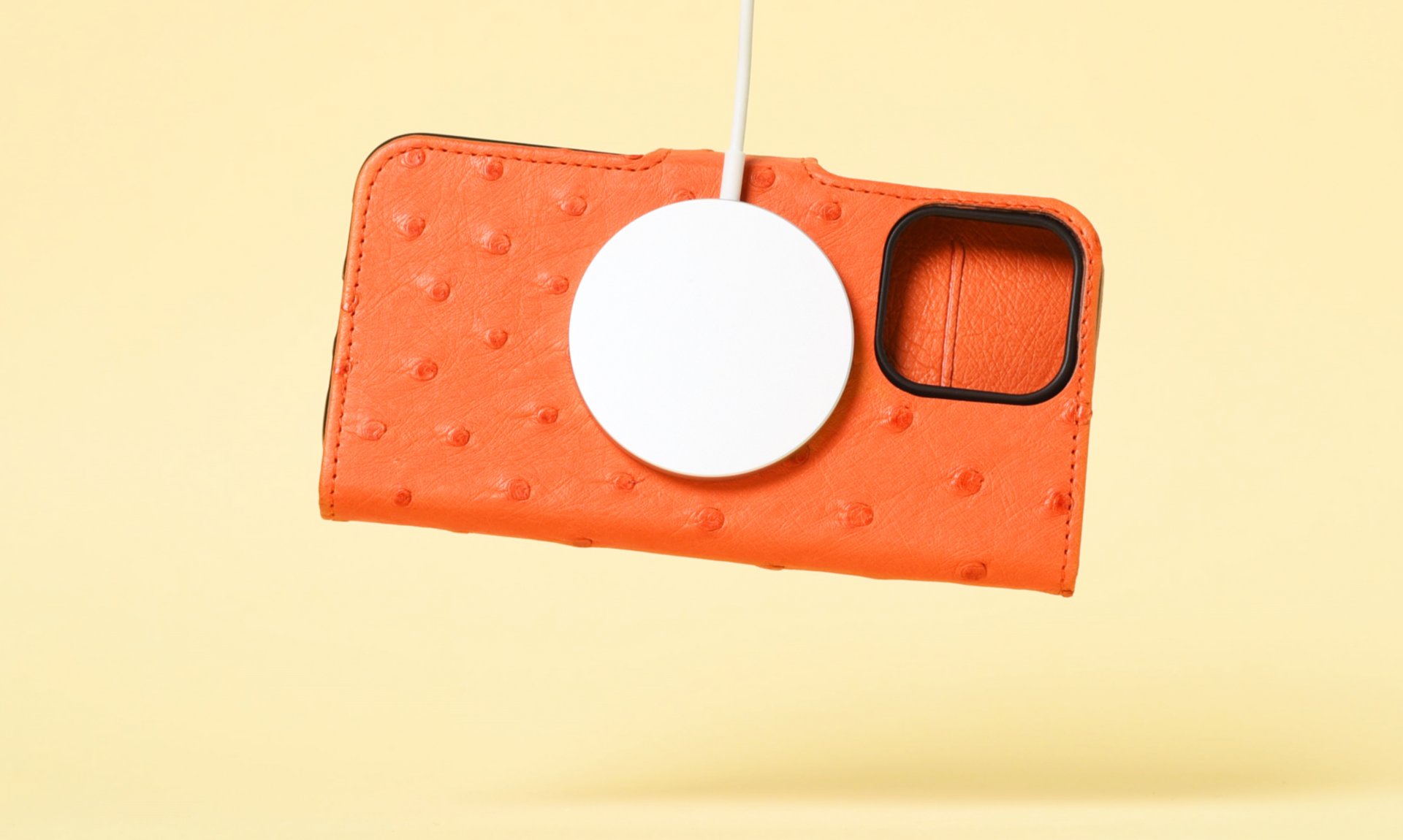 Iphone 13 pro max case (L)