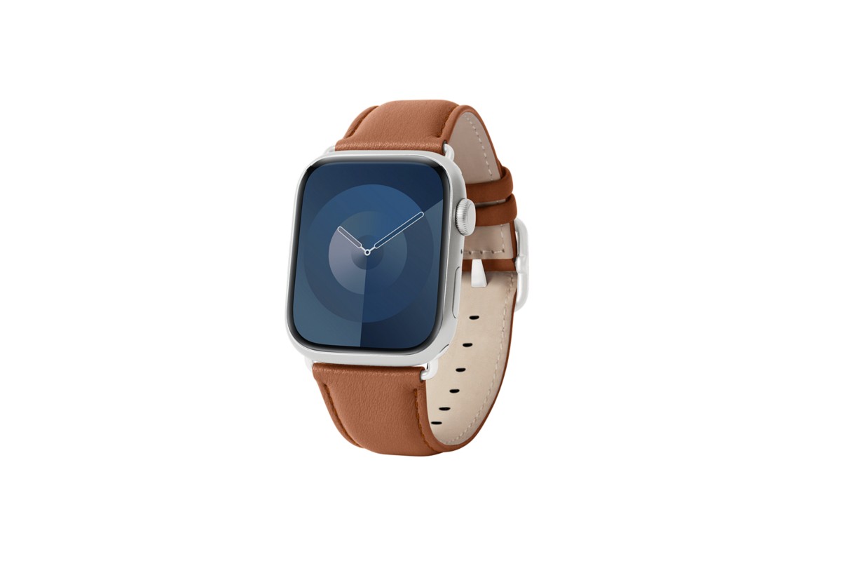 Correa de lujo para Apple Watch 45 mm - Plateada main product photo
