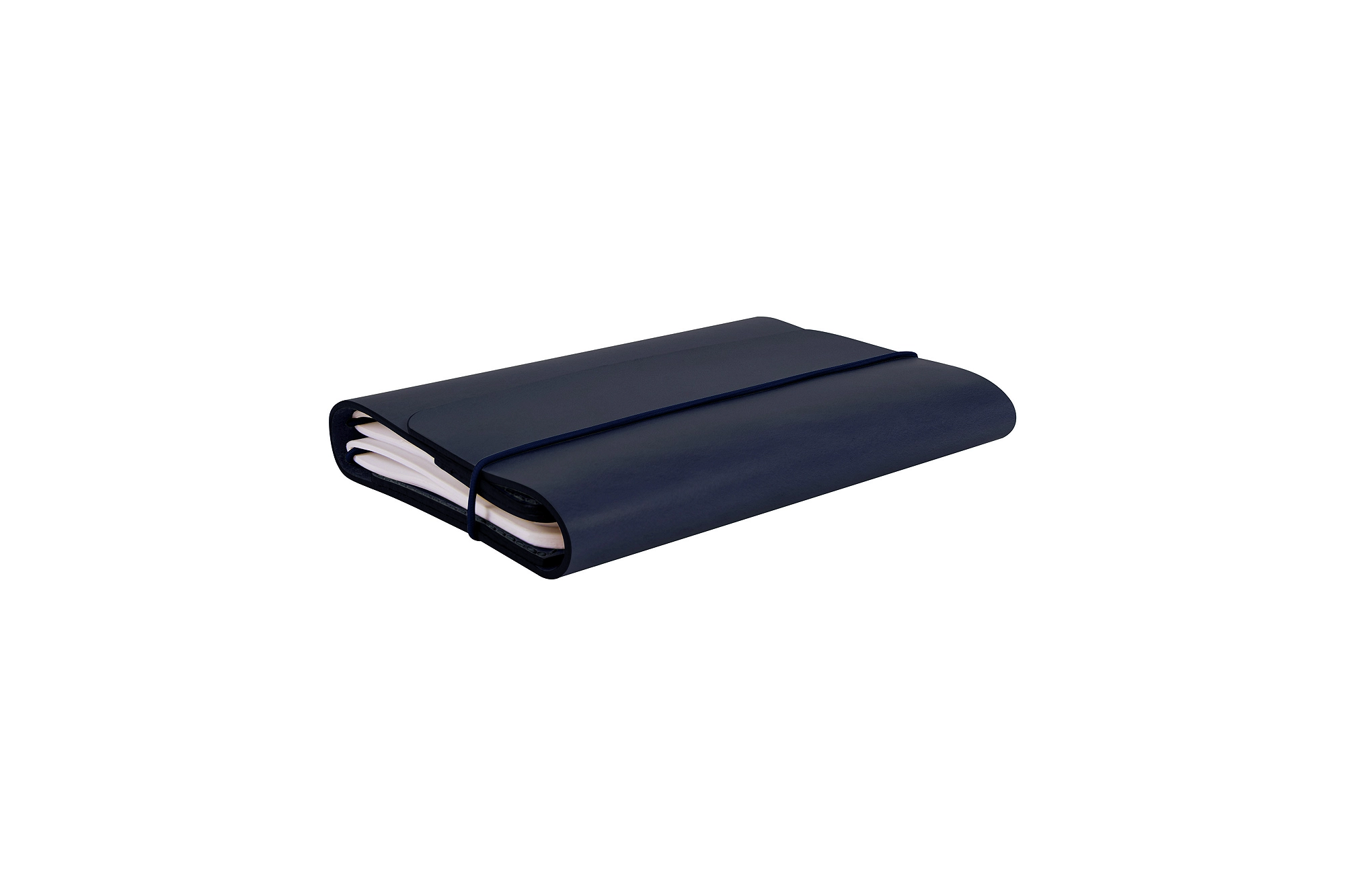 AL1001-1_CHIL_BLM-5