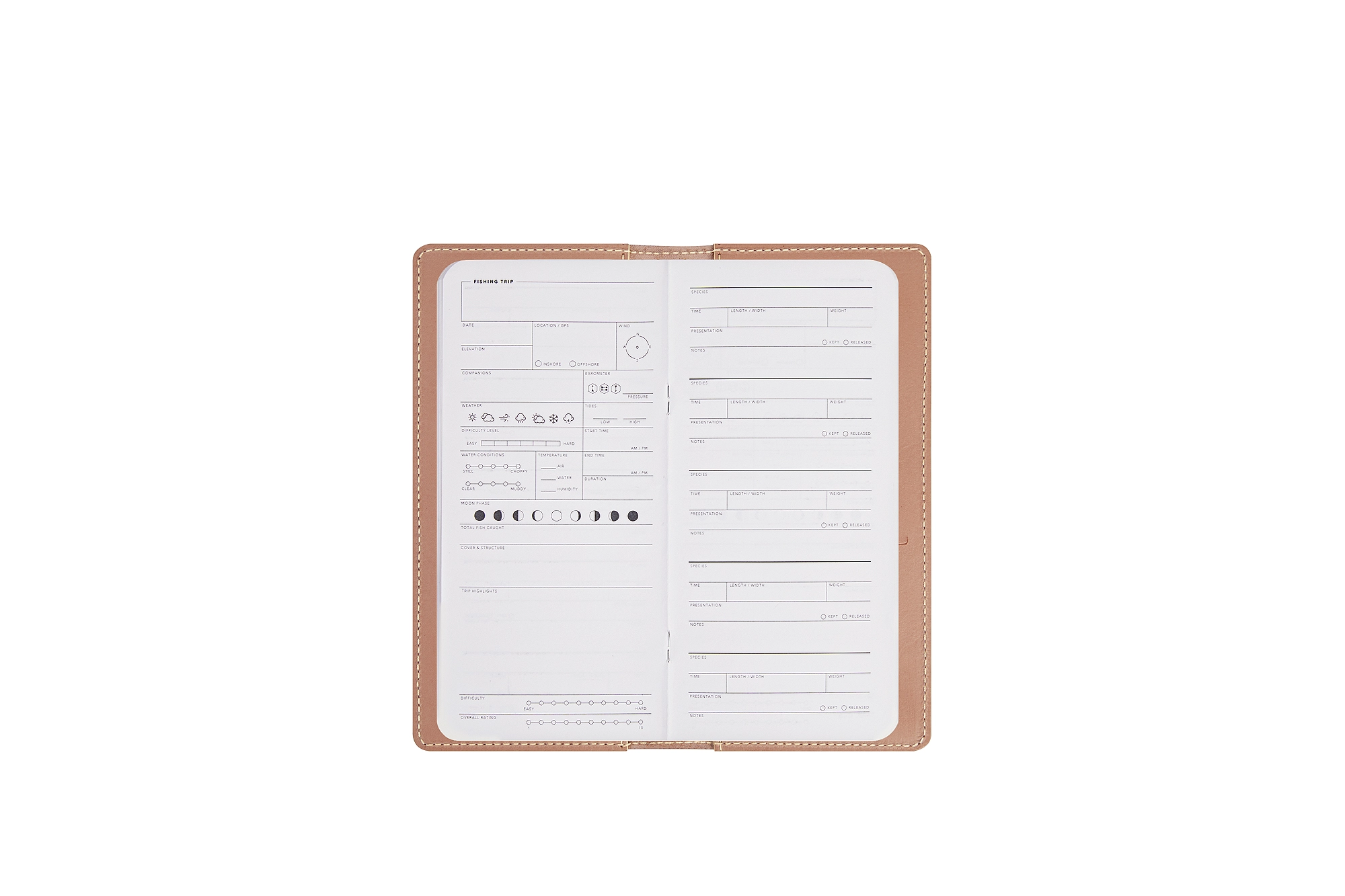 AL1004_CHIL_SSL-2