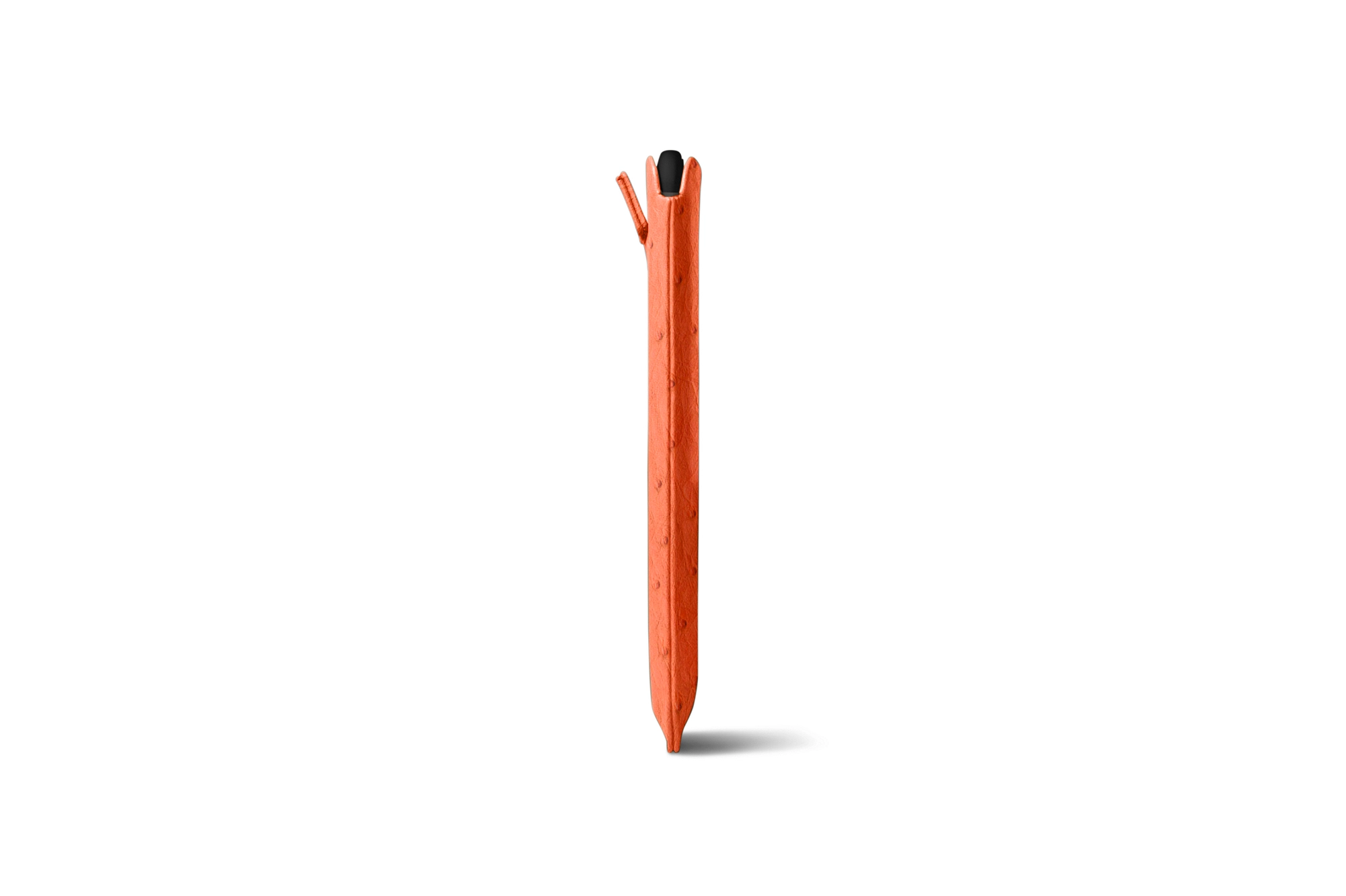 ET2520-1_AUT_ORG-6