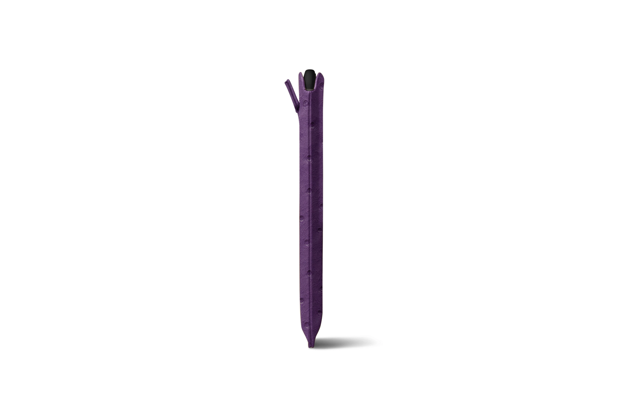 ET2520-1_AUT_VLT-6
