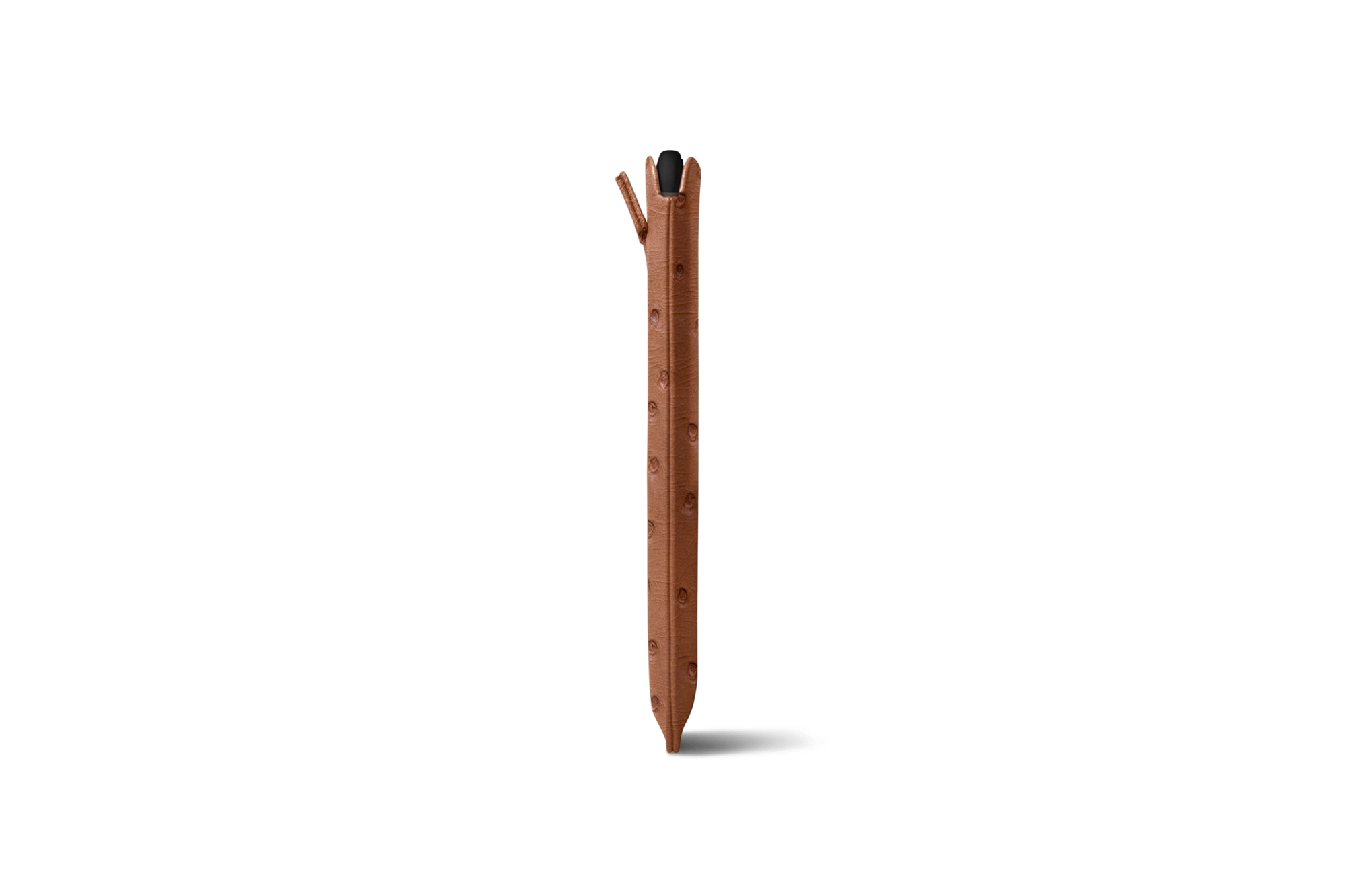ET2520-2_AUT_CGC-6