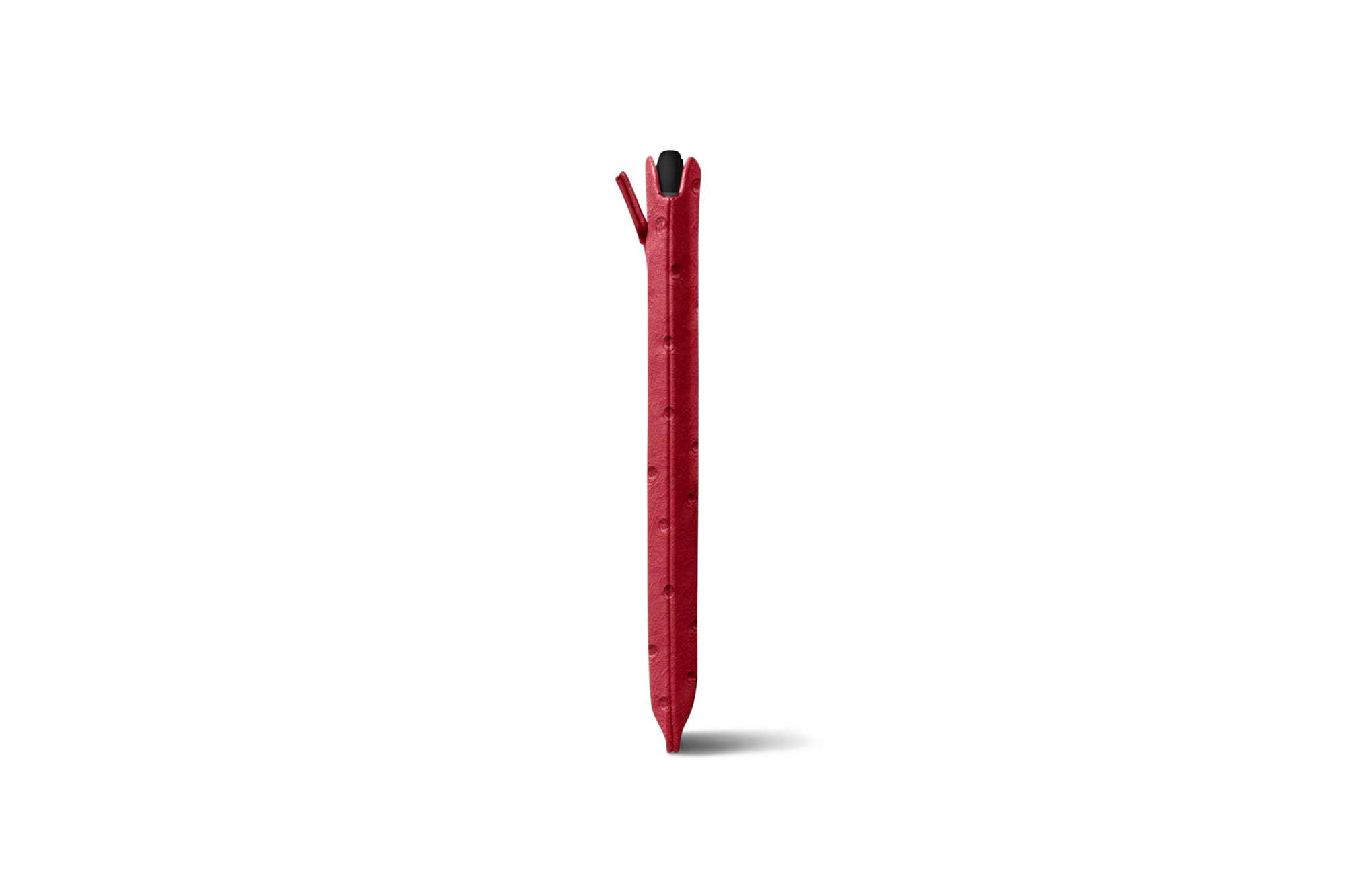 ET2521-1_AUT_RGG-6