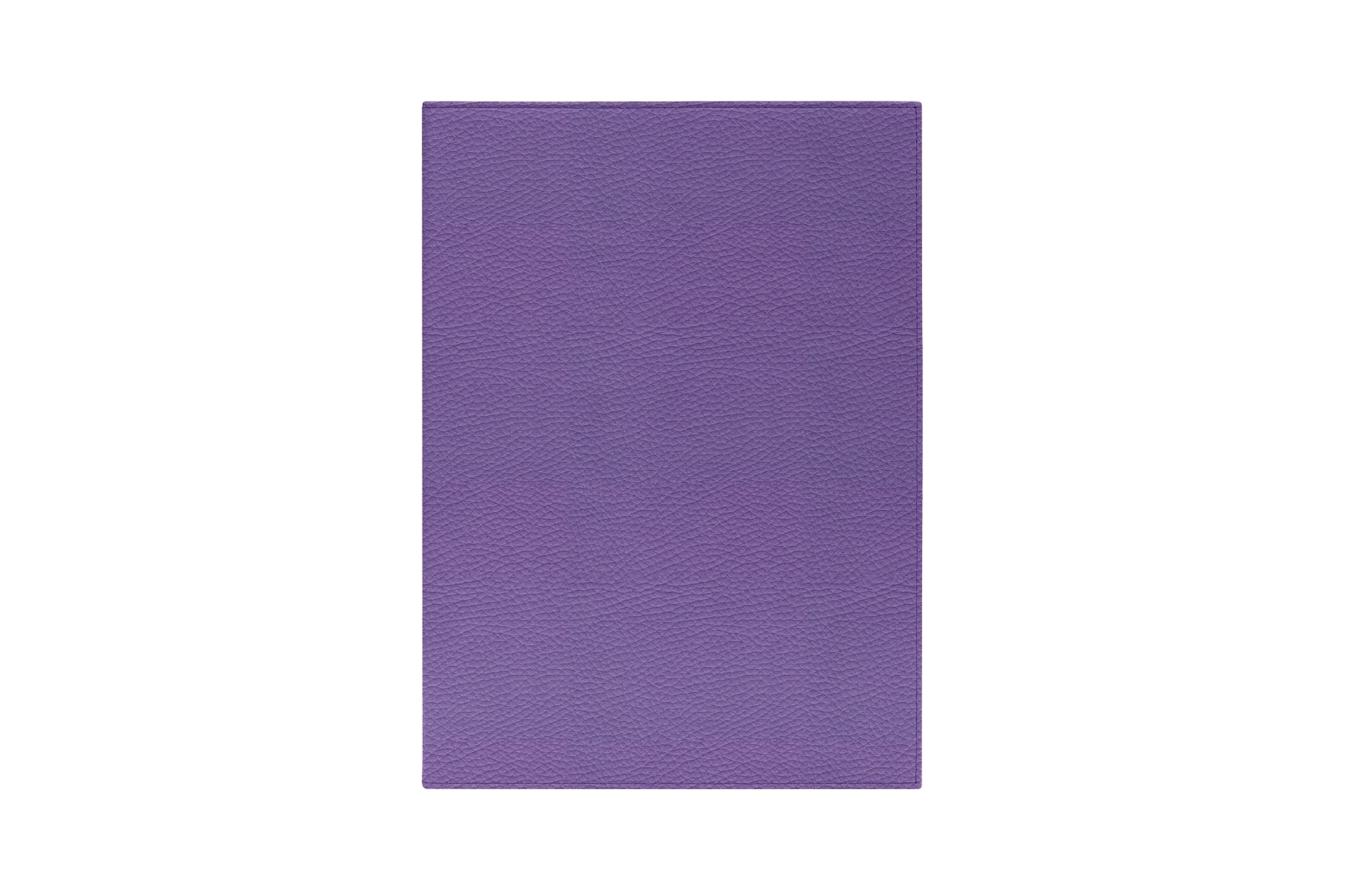 HO2021_VCGR_VIO-3