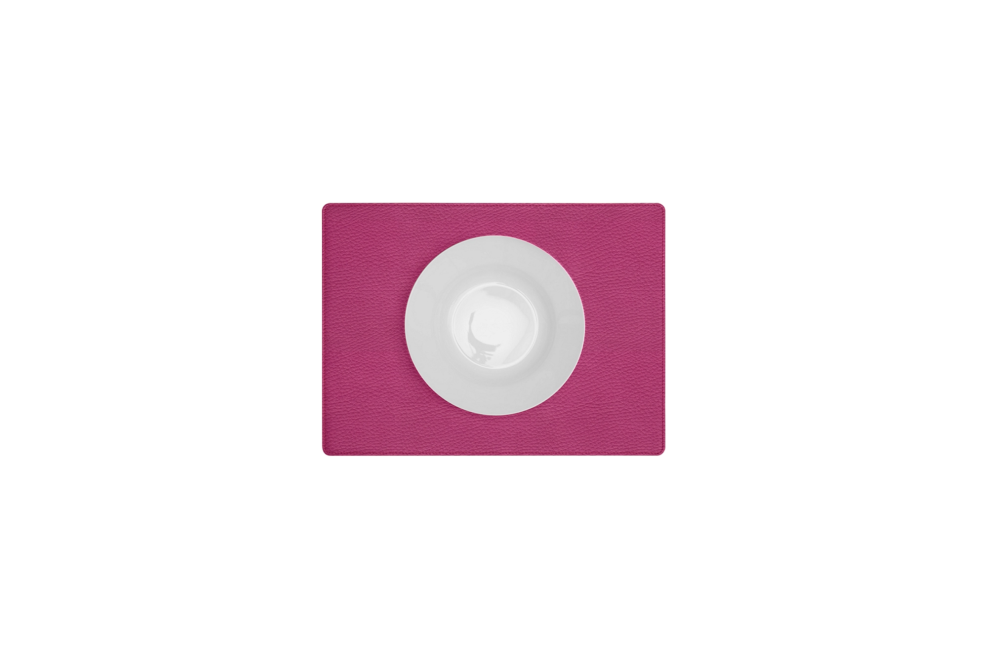 HO2023_VCGR_FCS-2