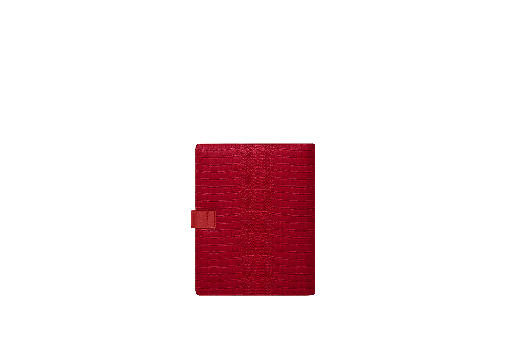 OS1013_CRO_RGG-4