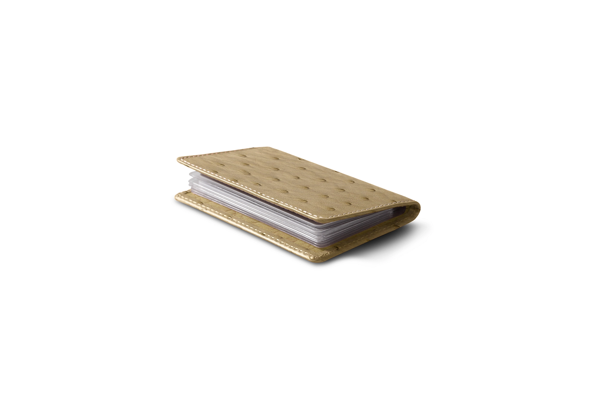 PM1004_AUT_BGE-3