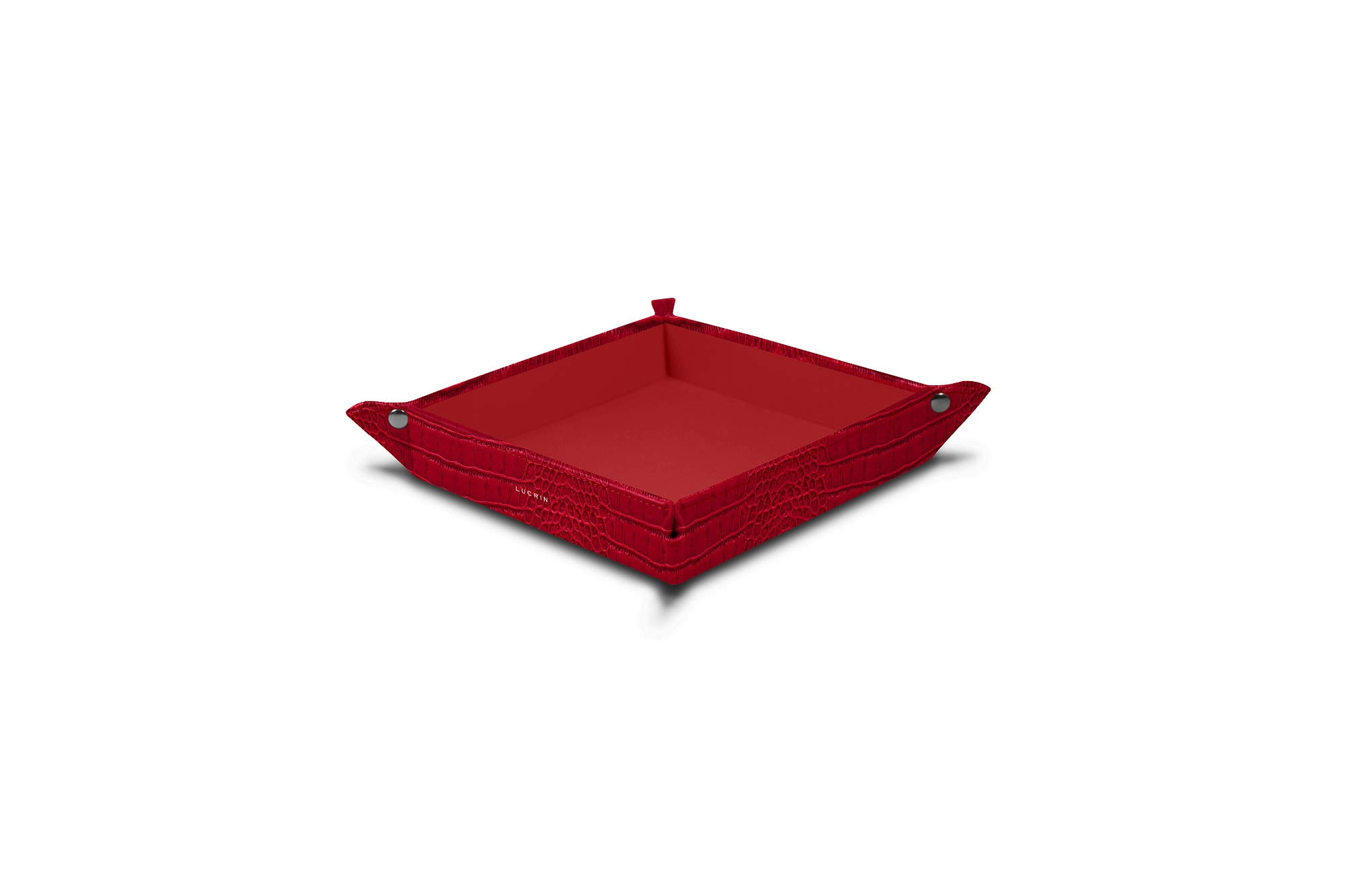 PM1005_CRO_RGG-2