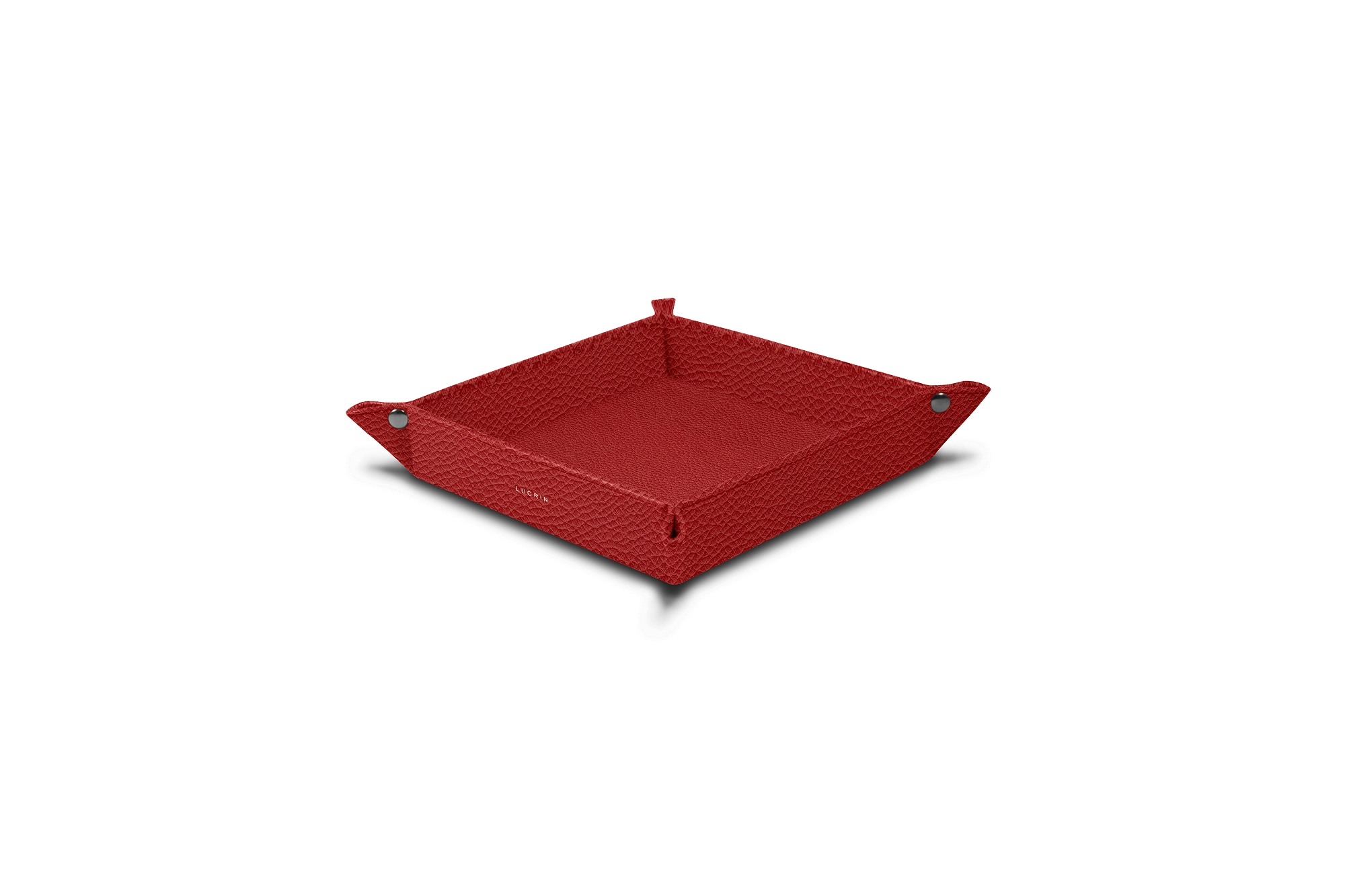PM1005_VCGR_RGG-2
