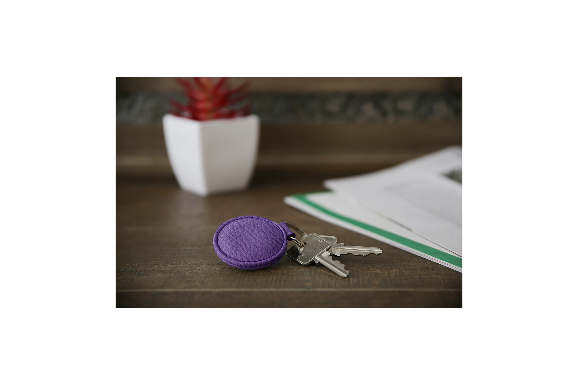 PM1037_VCGR_VIO-3