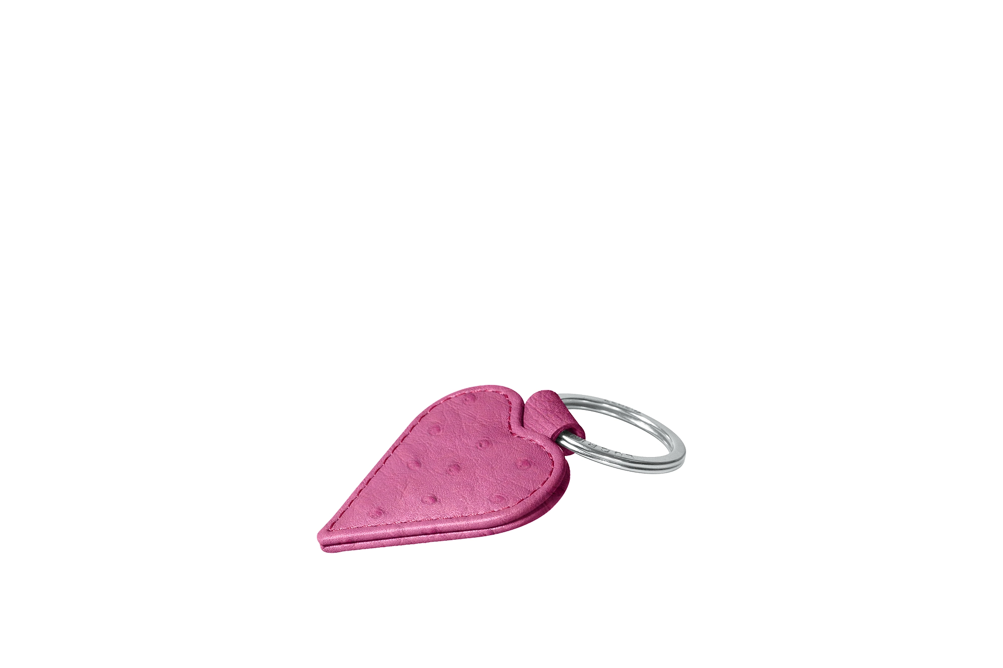 PM1388_AUT_FCS-2