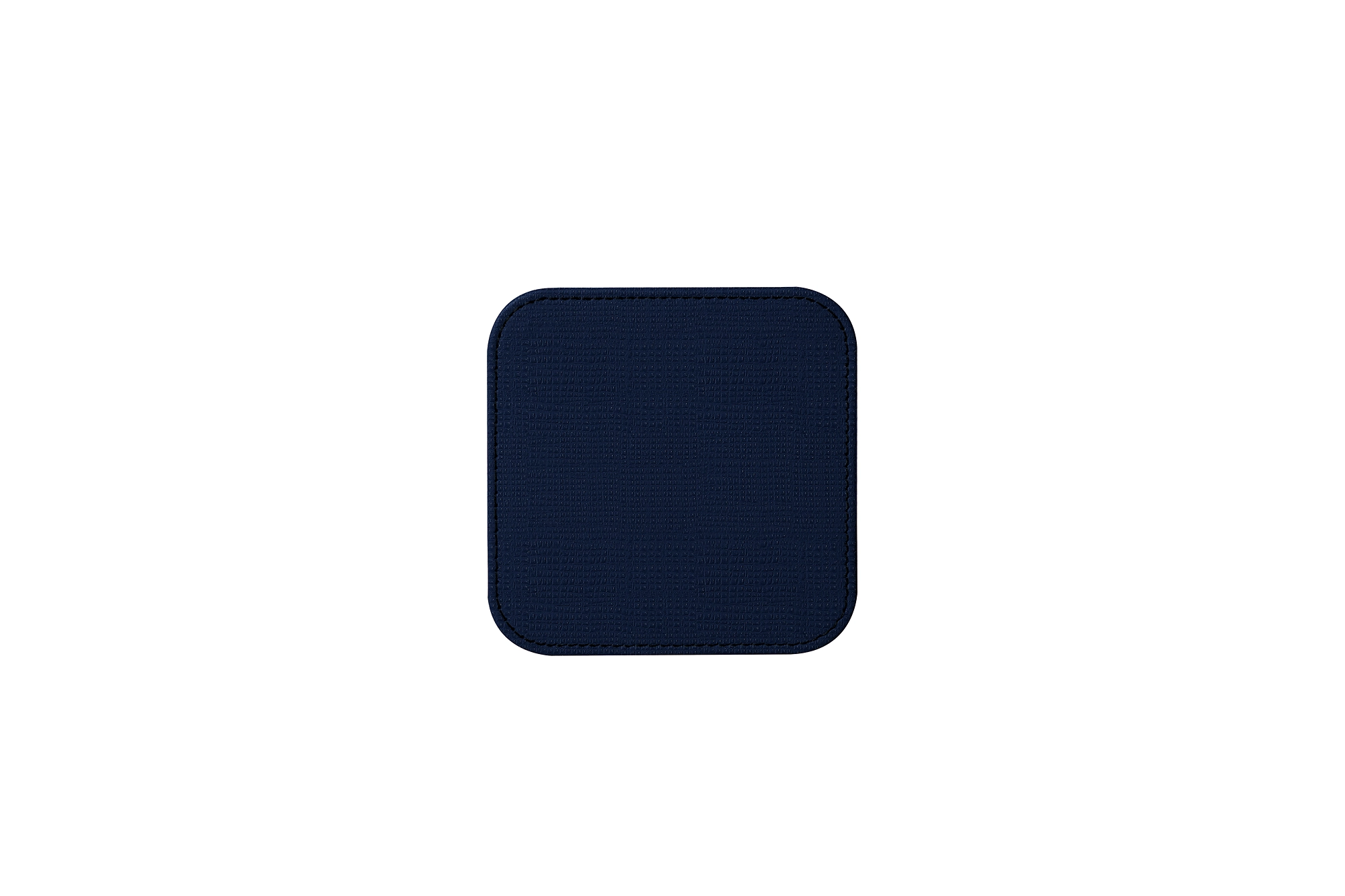 PM2013_VCST_BLM-2