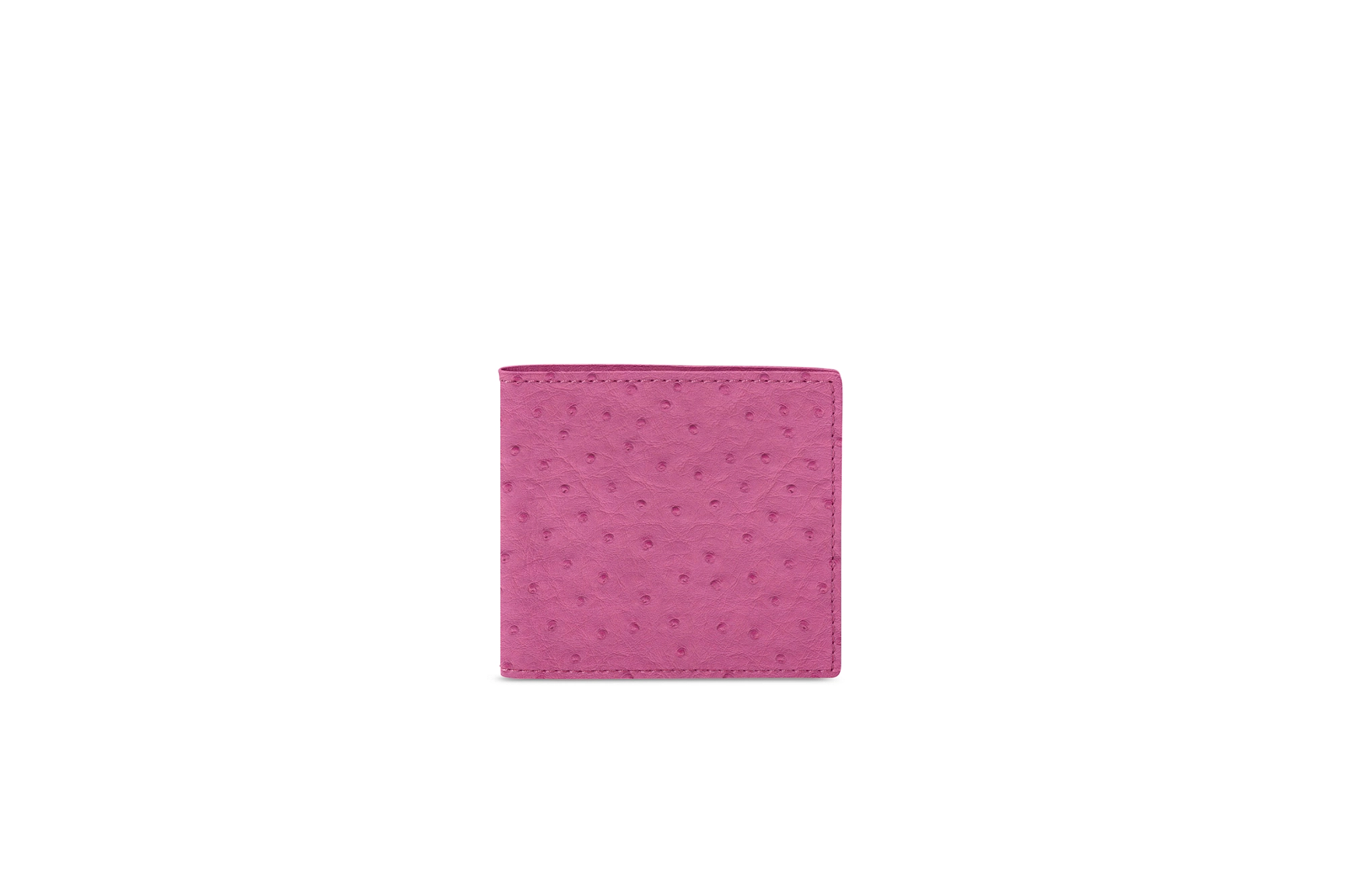 PM2081_AUT_FCS-3