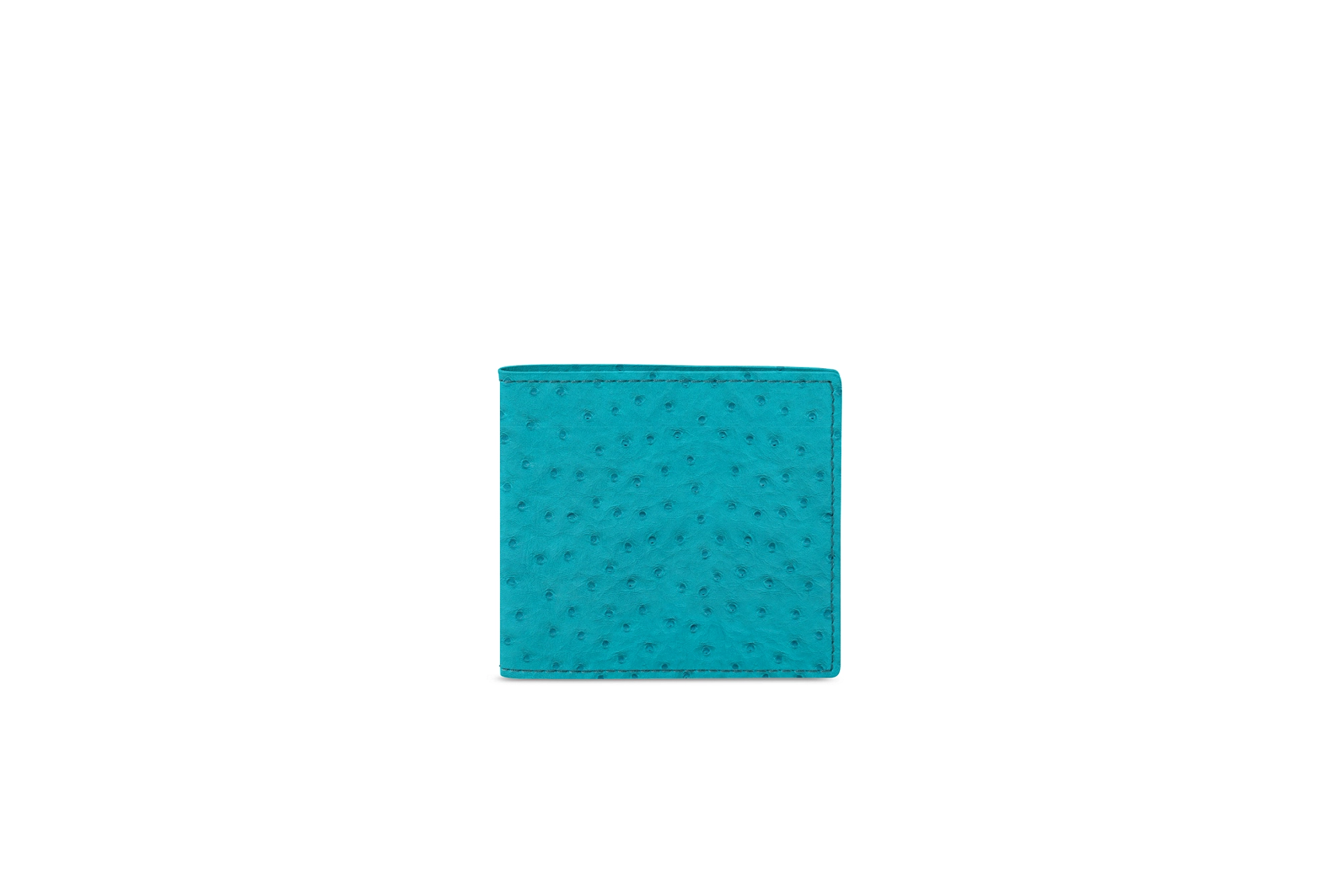 PM2081_AUT_TRQ-3