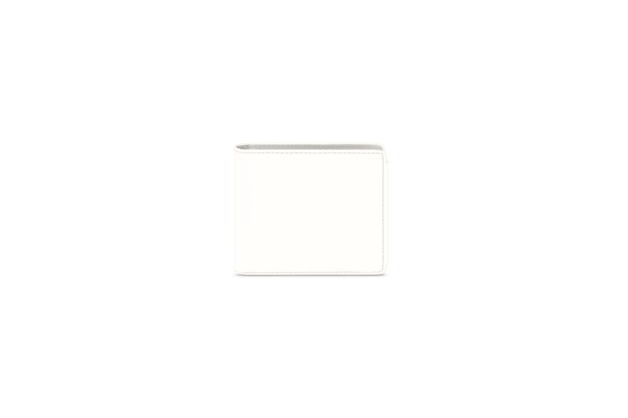 PM2113_VCLS_BLN-3