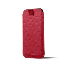 ET2520-1_AUT_RGG-3