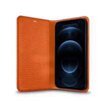 ET2527_VCGR_ORG-3