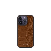 ET2627_CRO_CAM-1