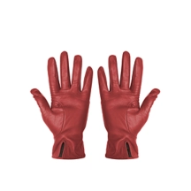 HA2022_AGNP_RGG_G7-3