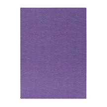 HO2021_VCGR_VIO-3