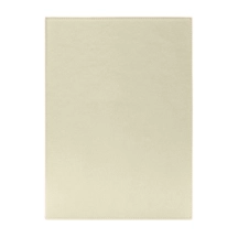 HO2021_VCLS_BNC-3