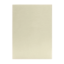 HO2021_VCLS_BNC-4