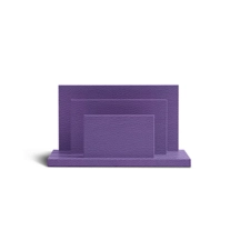 OS2024_VCGR_VIO-2