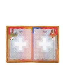 PM1001_CHEV_SAF-1
