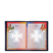PM1001_VCGR_BLM-1