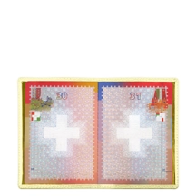 PM1001_VCGR_JAP-1
