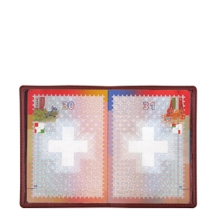PM1001_VCLS_BDX-1