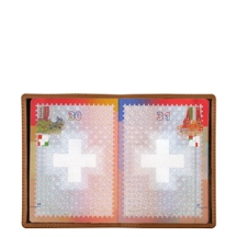 PM1001_VCLS_CGC-1