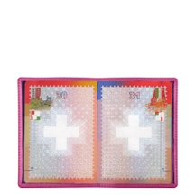 PM1001_VCLS_FCS-1