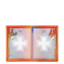 PM1001_VCLS_ORG-1