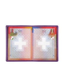 PM1001_VCLS_VIO-1