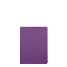 PM1001_VCLS_VIO-2
