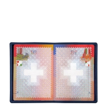 PM1001_VCST_BLM-1