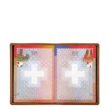 PM1001_VCST_CGC-1