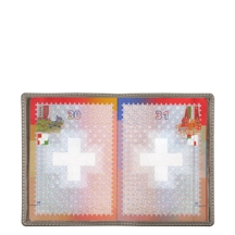 PM1001_VCST_TPC-1