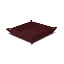 PM1005_VCGR_BDX-2