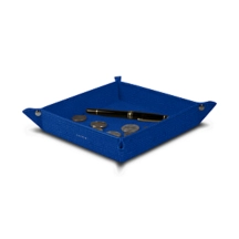PM1005_VCST_BLR-1
