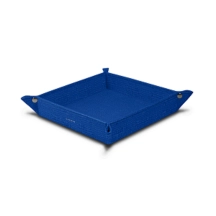 PM1005_VCST_BLR-2