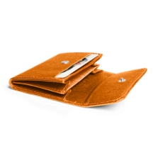 PM1008_MET_ORG-4