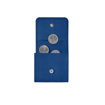 PM1013_VCGR_BLR-1