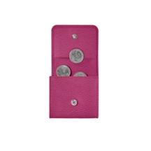 PM1013_VCGR_FCS-1